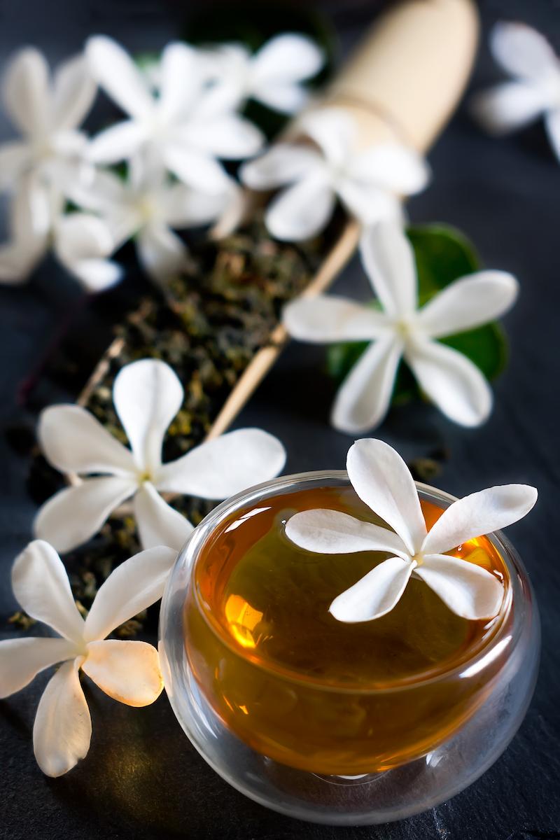 What Is Jasmine Tea Aromas Coffee Roasters